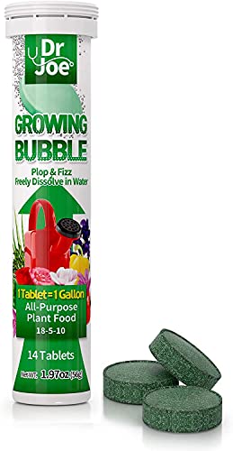 Growing Bubble