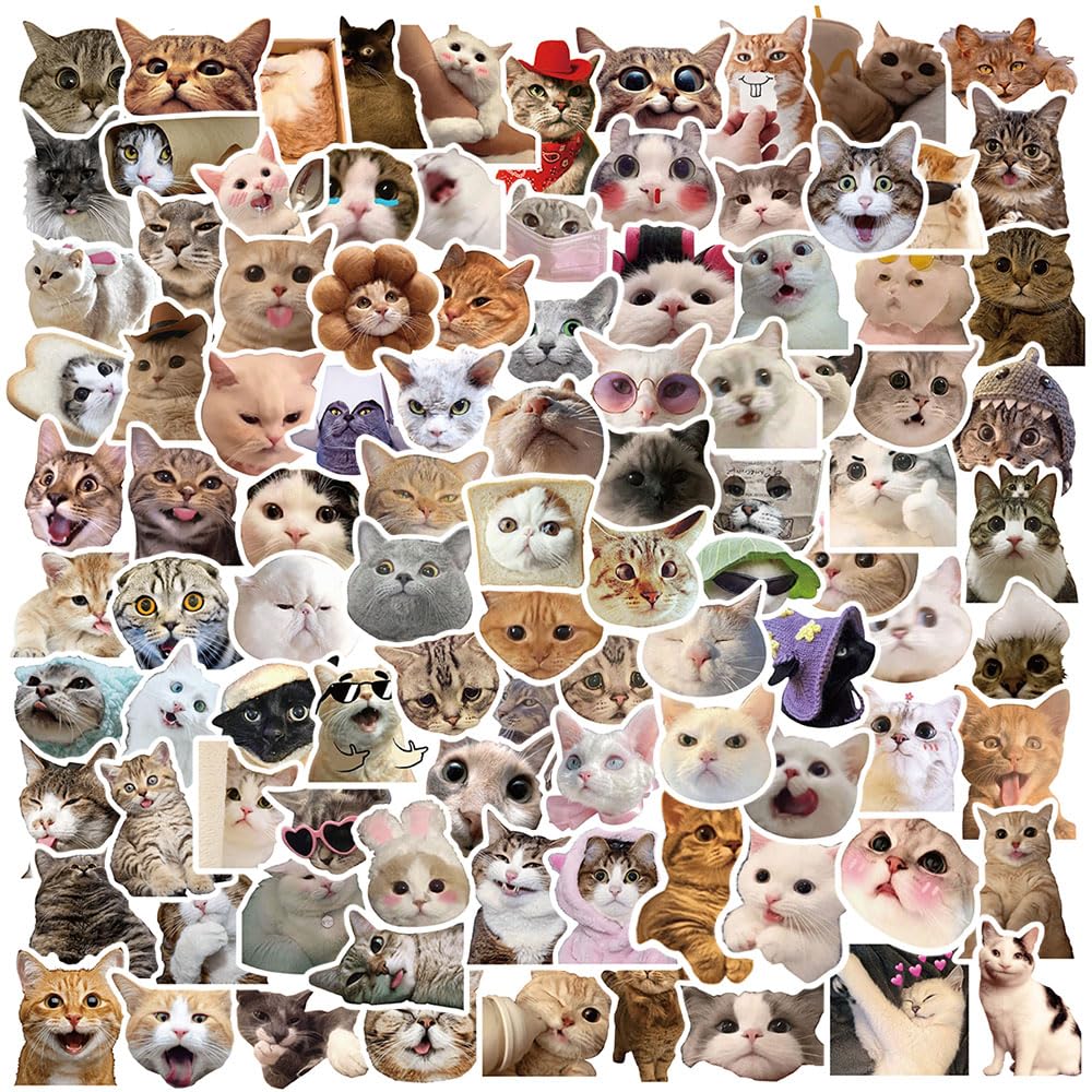 100 Pcs Funny Cat Stickers - Cute Cat Meme Vinyl Decals for Water Bottles, Laptops, Luggage, Skateboards & Bicycles | Waterproof Durable Stickers for Teens & Adults | Perfect for DIY Crafts, School Supplies & Gift Decorations