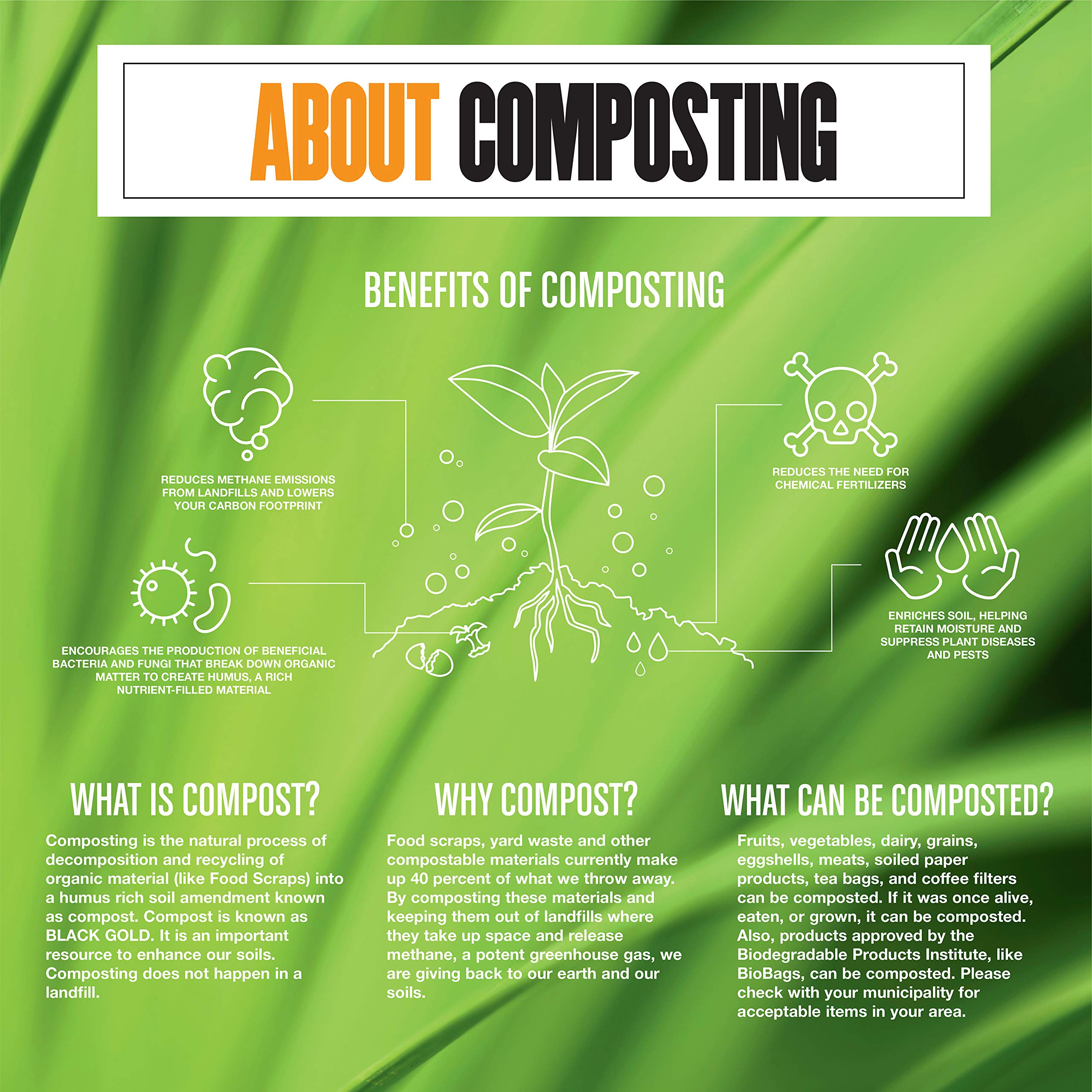BioBag Green Compostable Produce Bags 11x17 Inches - 3,200 Count Case | Eco-Friendly, USDA Certified Biodegradable Food Storage Bags | Perfect for Grocery Shopping, Farmers Markets & Kitchen Waste Disposal (Made in USA)