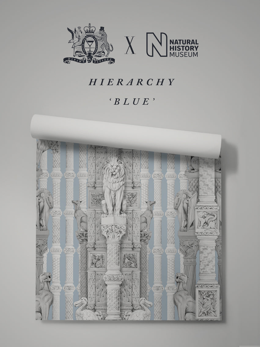 Hierarchy  Blue