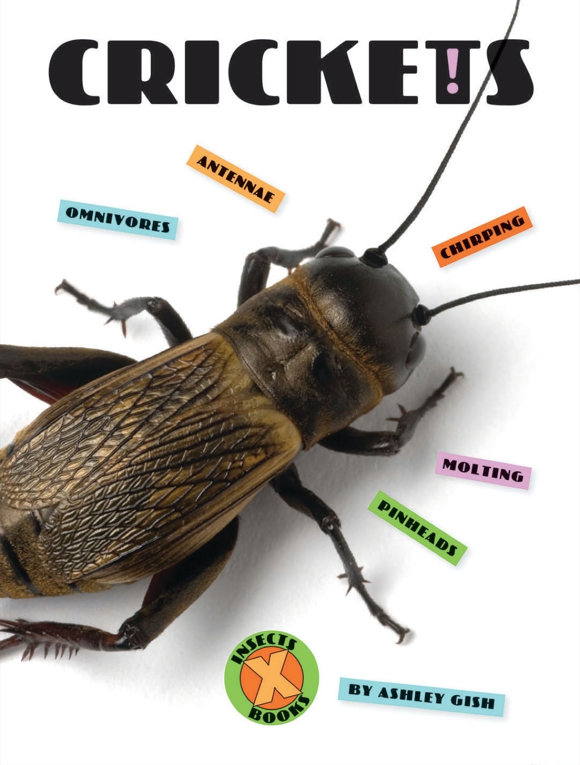 Live Crickets for Reptile Food - Bulk 978 1 60818 990 8 | Perfect for Feeding Bearded Dragons, Geckos & Other Insect-Eating Pets