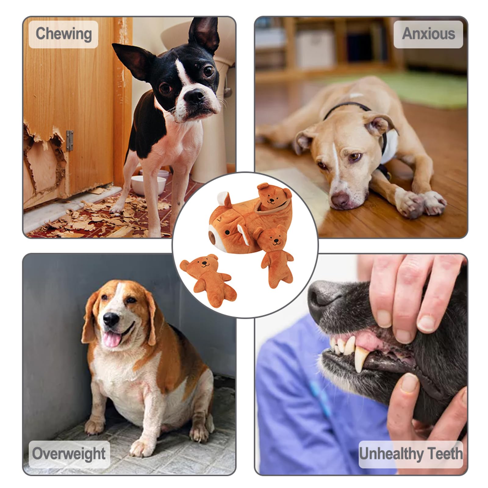IFOYO Hide and Seek Squeaky Dog Toy - Interactive Plush Bear Puppy Toy for Small, Medium & Large Dogs | Durable Chew Proof Enrichment Toy for Indoor Play, Training & Bonding