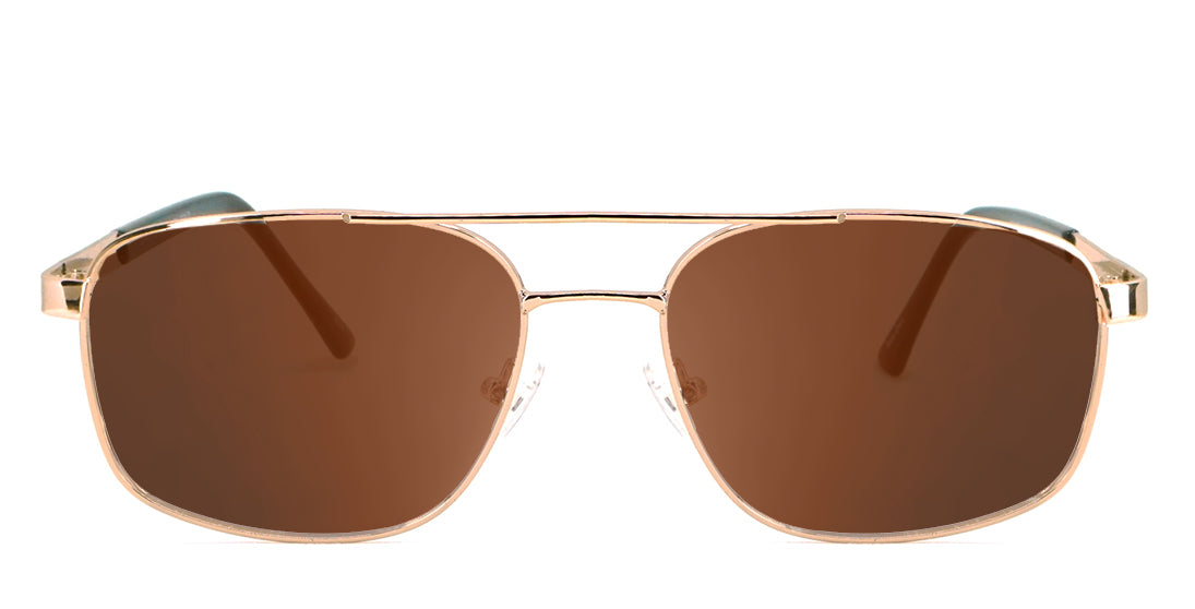 Polarized-Brown