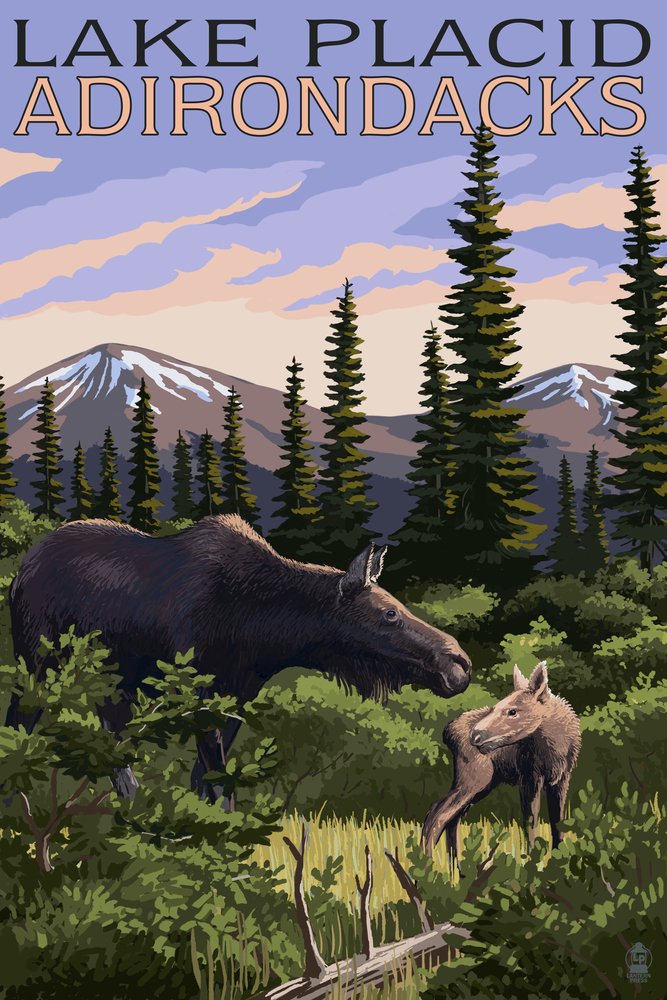 Lake Placid New York Moose and Calf 48173 - Signed 24x36 Art Print Poster - Wildlife Wall Decor for Living Room, Office & Cabin - Nature Photography Gift for Animal Lovers