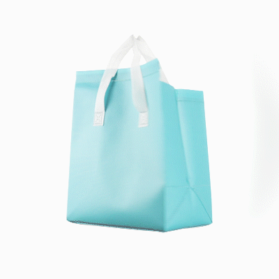 Premium Insulated Takeout Bag - Tamper Evident Food Delivery Bags, 9.5
