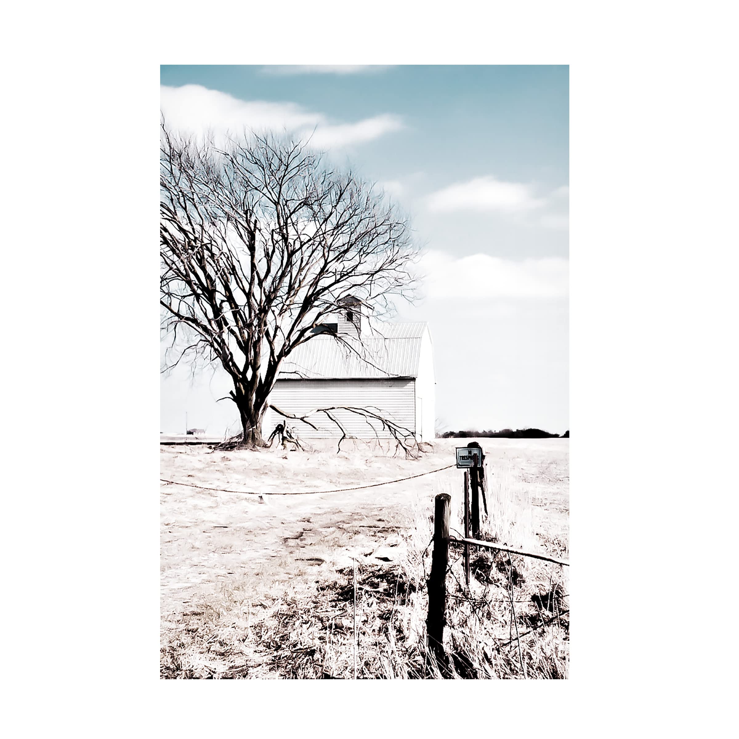 Blue Palomino 'Kansas' Canvas Wall Art Print - Premium Trademark Fine Art for Home & Office Decor | Living Room, Bedroom, Office Wall Decor