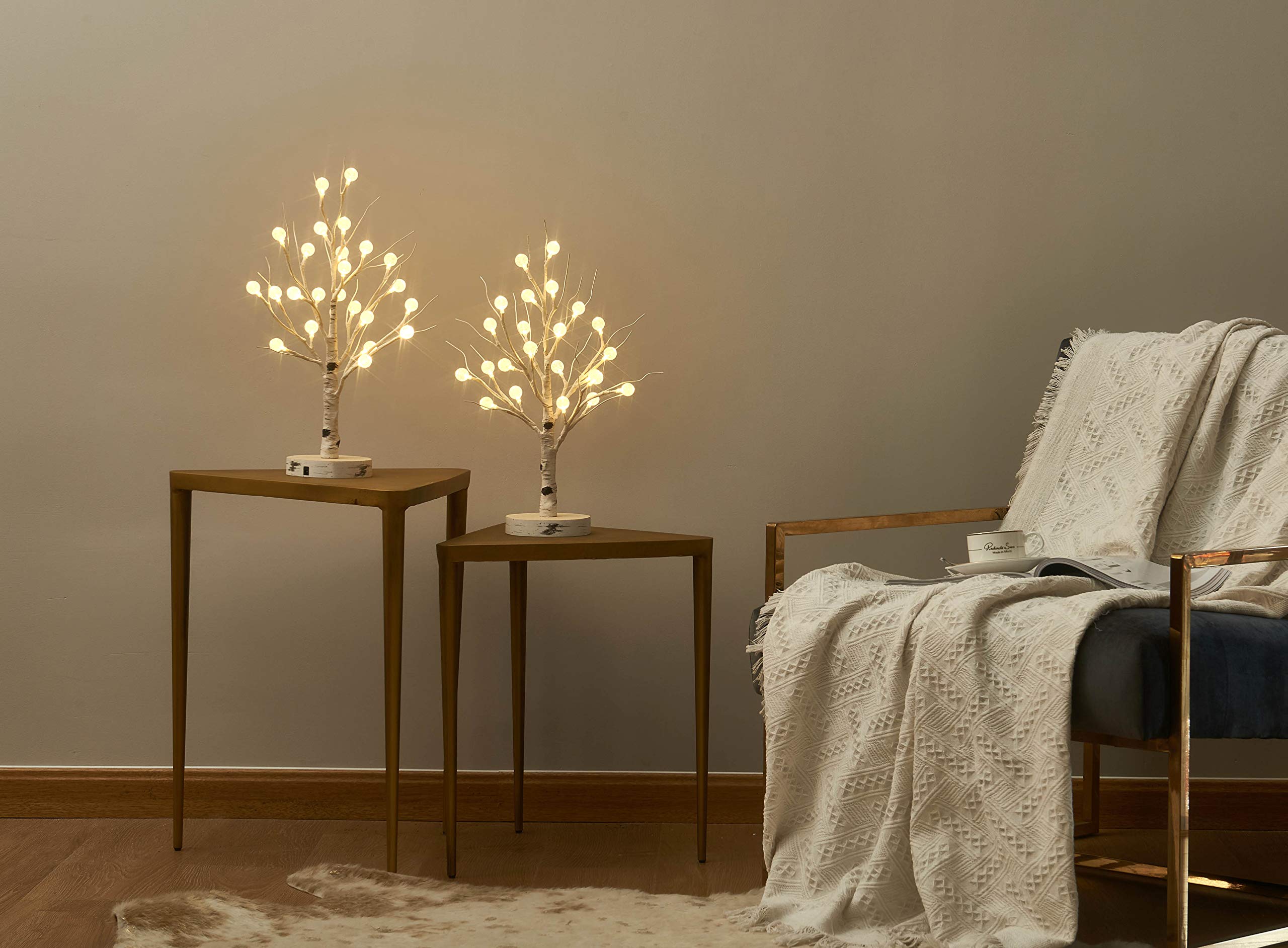LITBLOOM 2 Pack LED Birch Tree Lights with Timer - 18 Inch USB/Battery Powered Tabletop Decor - 24 Warm White LEDs for Easter, Wedding, Christmas Party & Home Decoration - Perfect for Centerpieces, Mantel Displays and Holiday Tablescapes