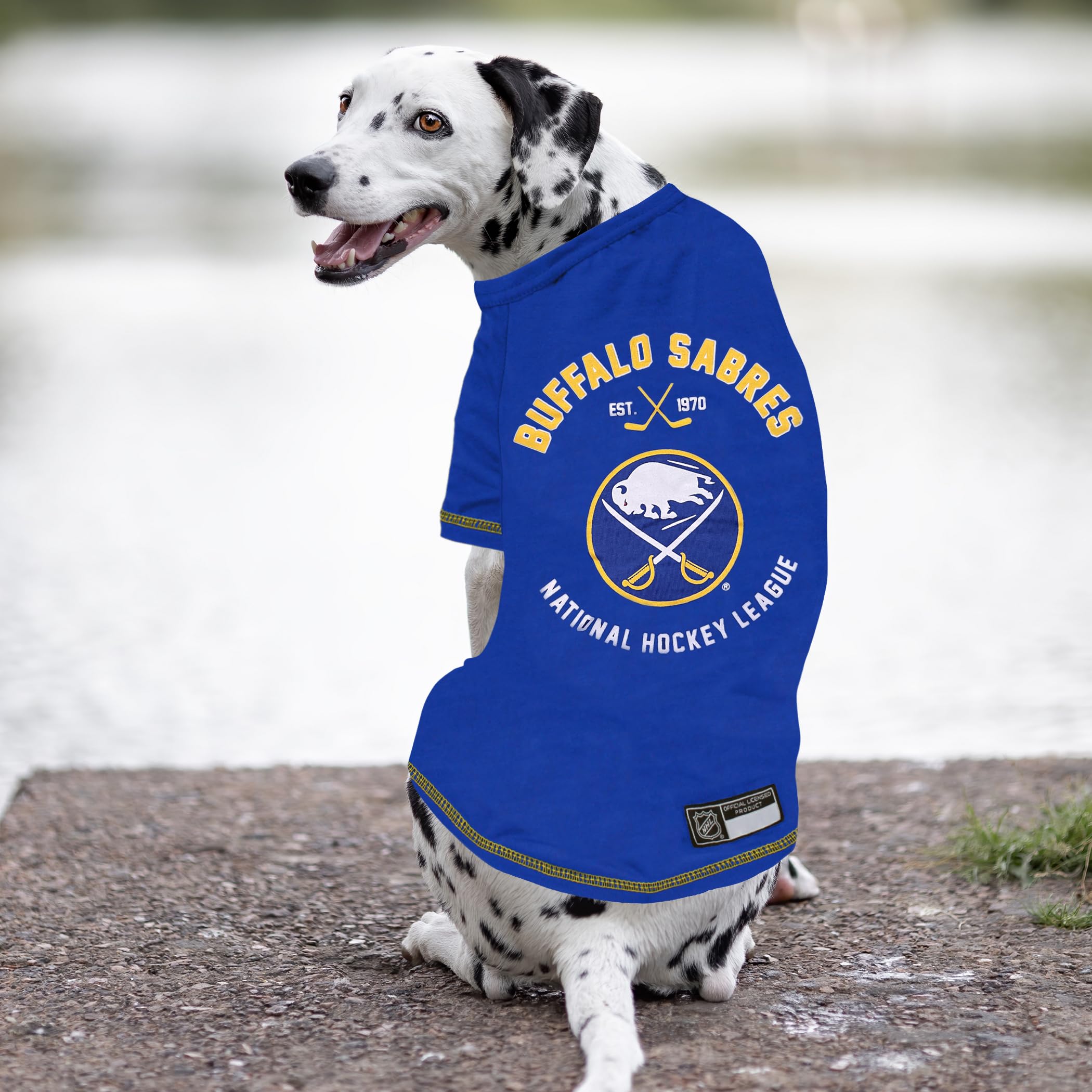 Buffalo Sabres NHL Pet T-Shirt for Dogs & Cats - X-Small Hockey Fan Apparel | Game Day Outfit for Pets