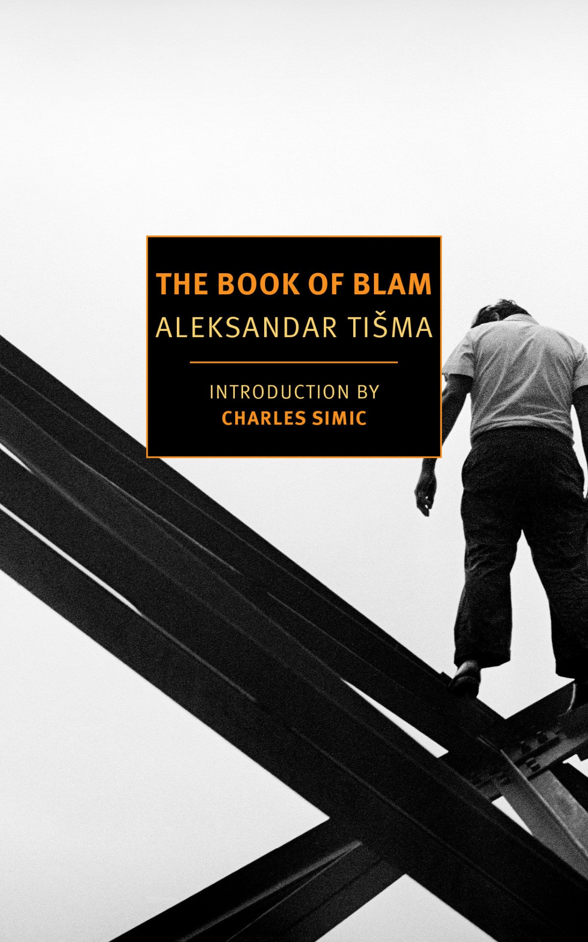 The Book of Blam - Thought-Provoking Novel for Book Clubs & Literature Lovers | Perfect for Reading Groups, Gifts & Personal Reflection