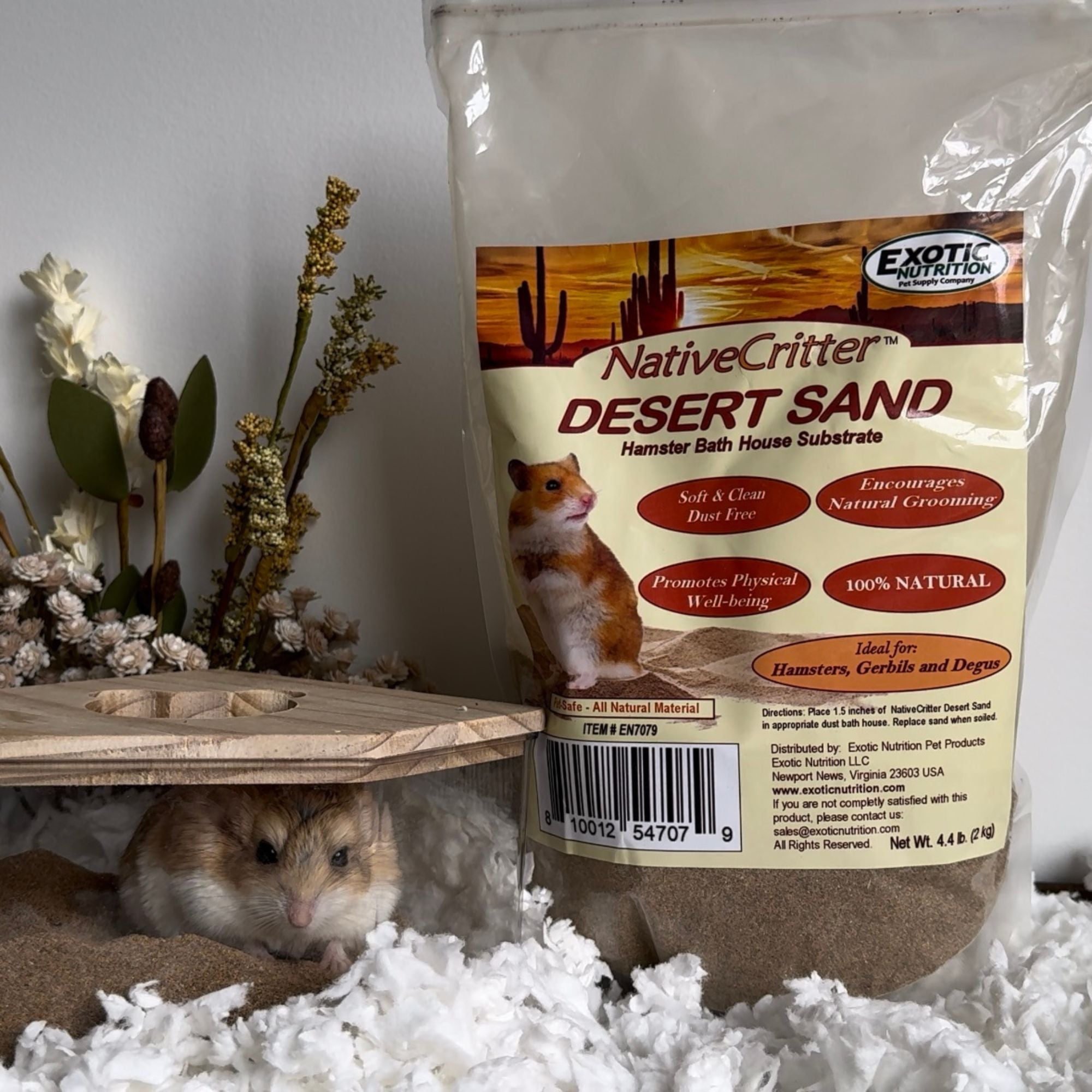 Premium Acrylic Sand Bath for Reptiles & Small Pets - Transparent Habitat for Bearded Dragons, Geckos & Snakes - Ideal for Basking, Digging & Natural Behavior Stimulation