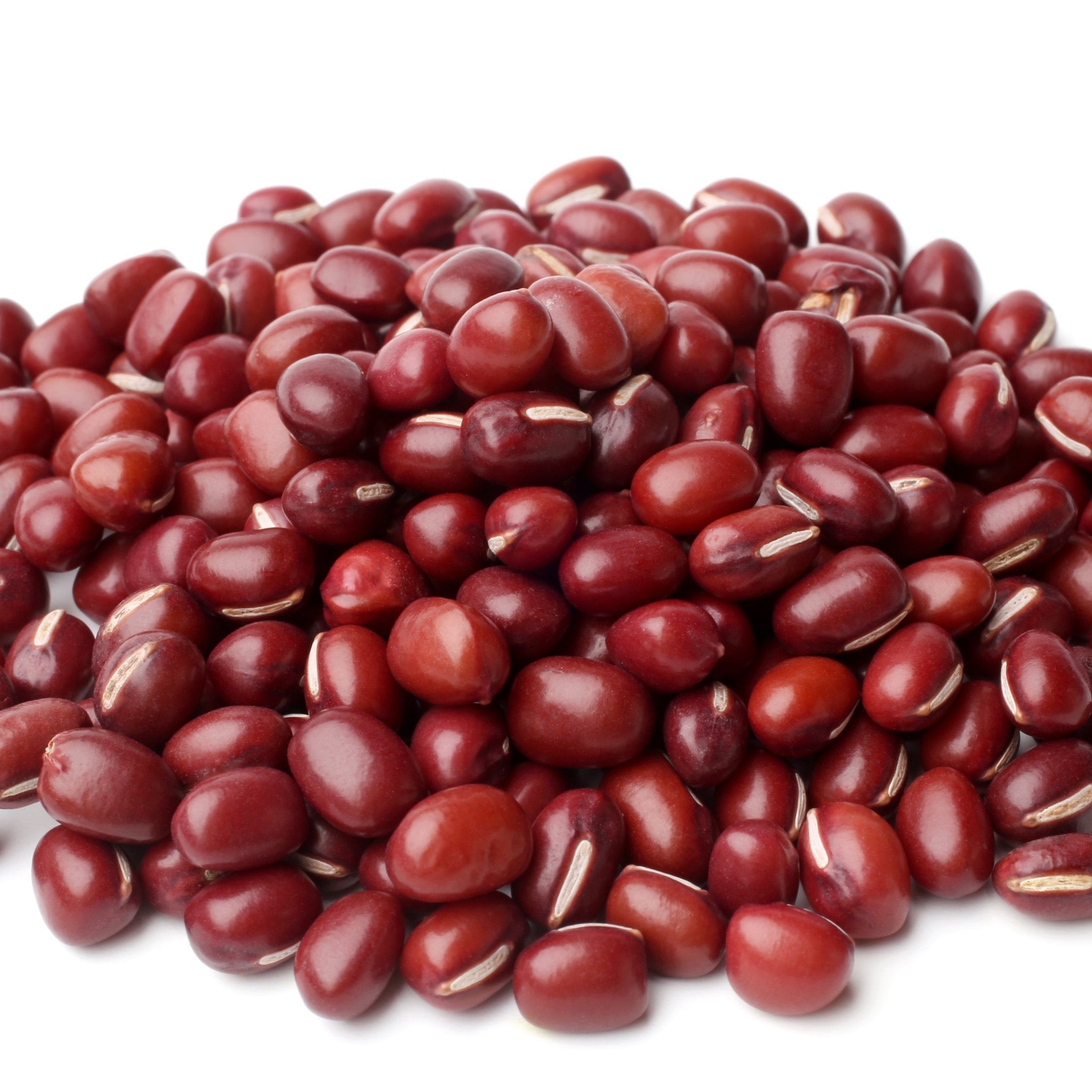 Organic Adzuki Bean Bush Seeds - Non-GMO, High-Yield Red Bean Seeds for Home Gardening | Perfect for Asian Cooking, Sprouting & Healthy Recipes
