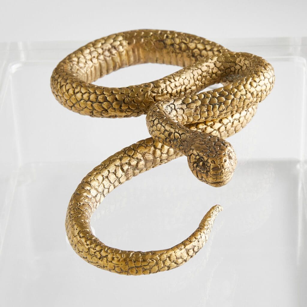 Cyan Design 11763 Clear and Brass Snake Jewelry Box - Perfect for Storing Rings, Necklaces & Small Treasures in Bedroom or Bathroom