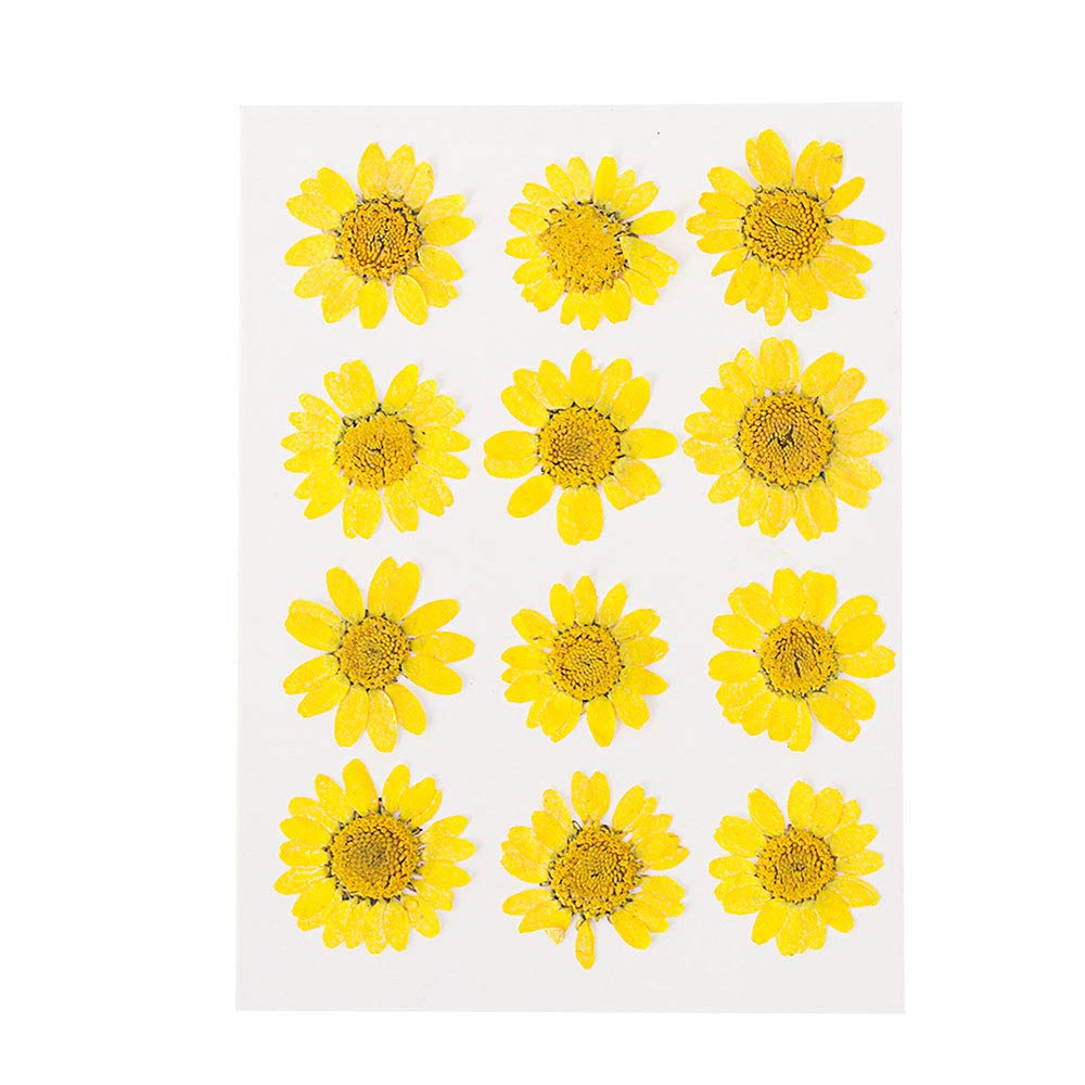 Kuuans 12PCS DIY Resin Makeup Daisy Dried Flowers for Jewelry Making, Pressed Flower Art, Yellow - Perfect for Handmade Earrings, Necklaces & Home Decor Crafts