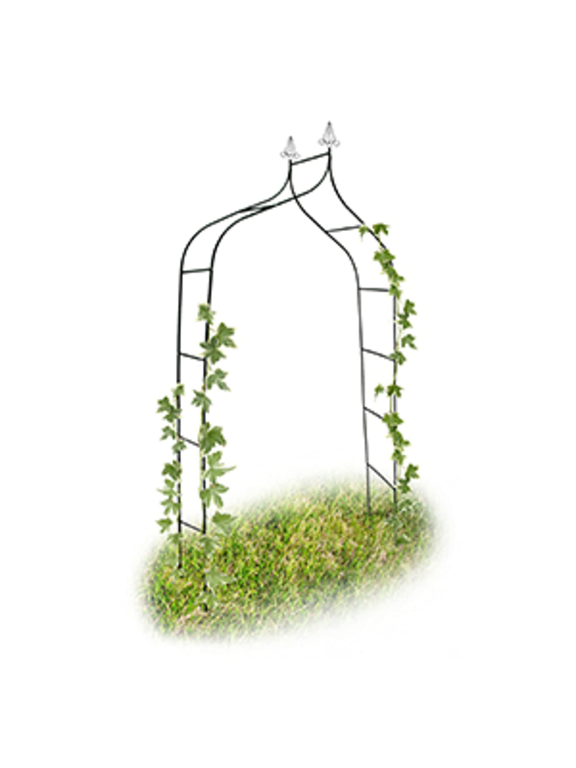Relaxdays Romantic Rose Arch for Climbing Plants - 2.4m Tall Metal Garden Trellis with Dark Green Finish | Perfect for Wedding Decor, Vine Support & Outdoor Garden Structures