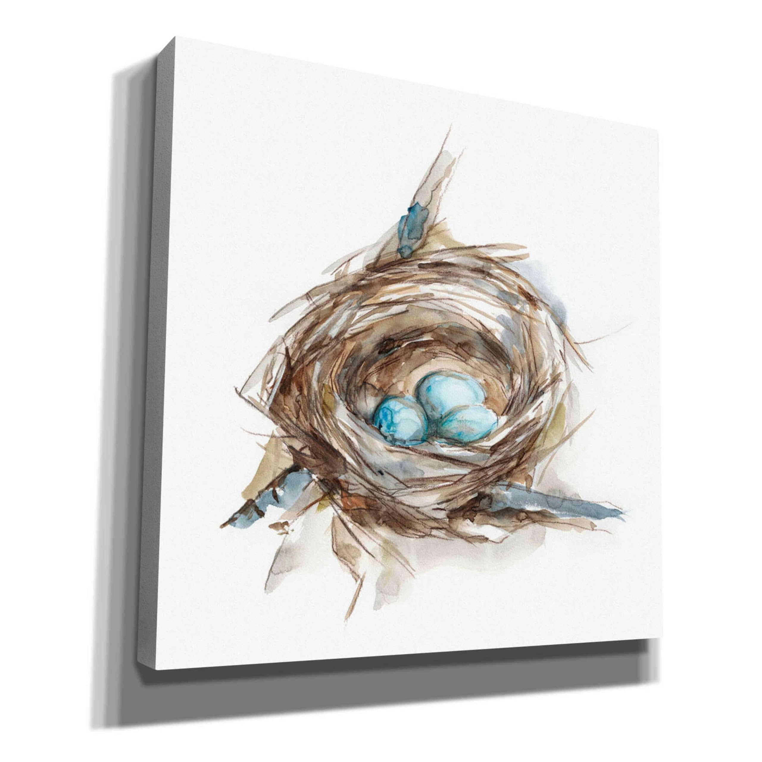 Ethan Harper 'Bird Nest Study II' Canvas Wall Art - 26x26 Inches - Nature Inspired Home Decor for Living Room, Bedroom & Office