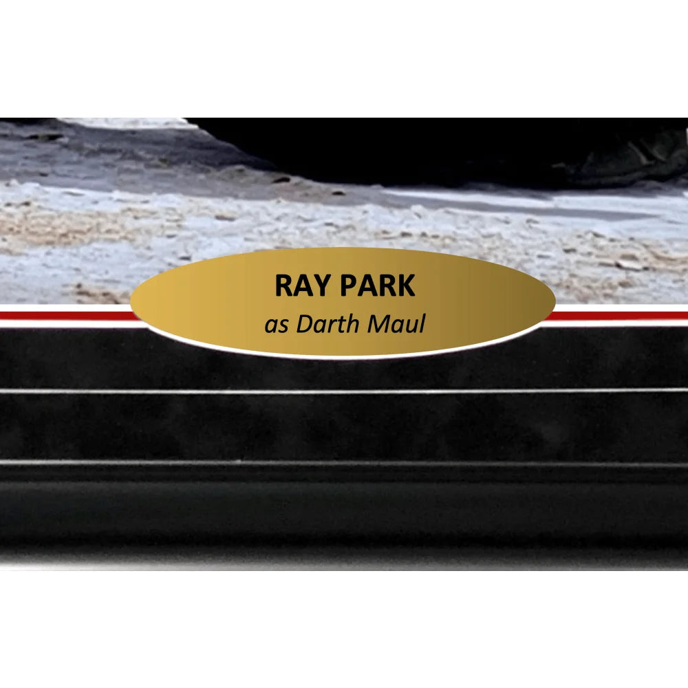 Ray Park Autographed Star Wars Darth Maul 16x20 Framed Photo with JSA COA - Darth Maul Closeup Portrait - Perfect for Star Wars Collectors & Home Theater Decor