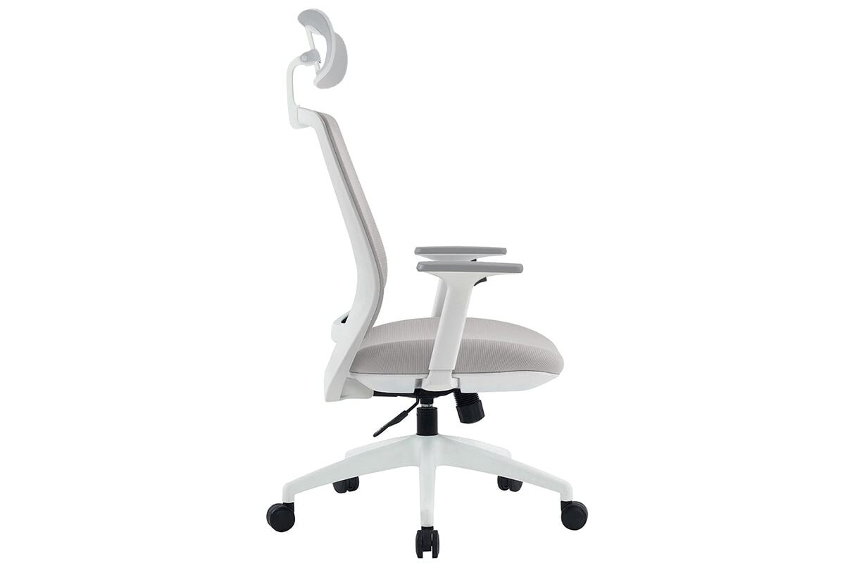 Finch Ergonomic Mesh Office Chair with Adjustable Headrest - Comfortable & Breathable for Home & Workspaces