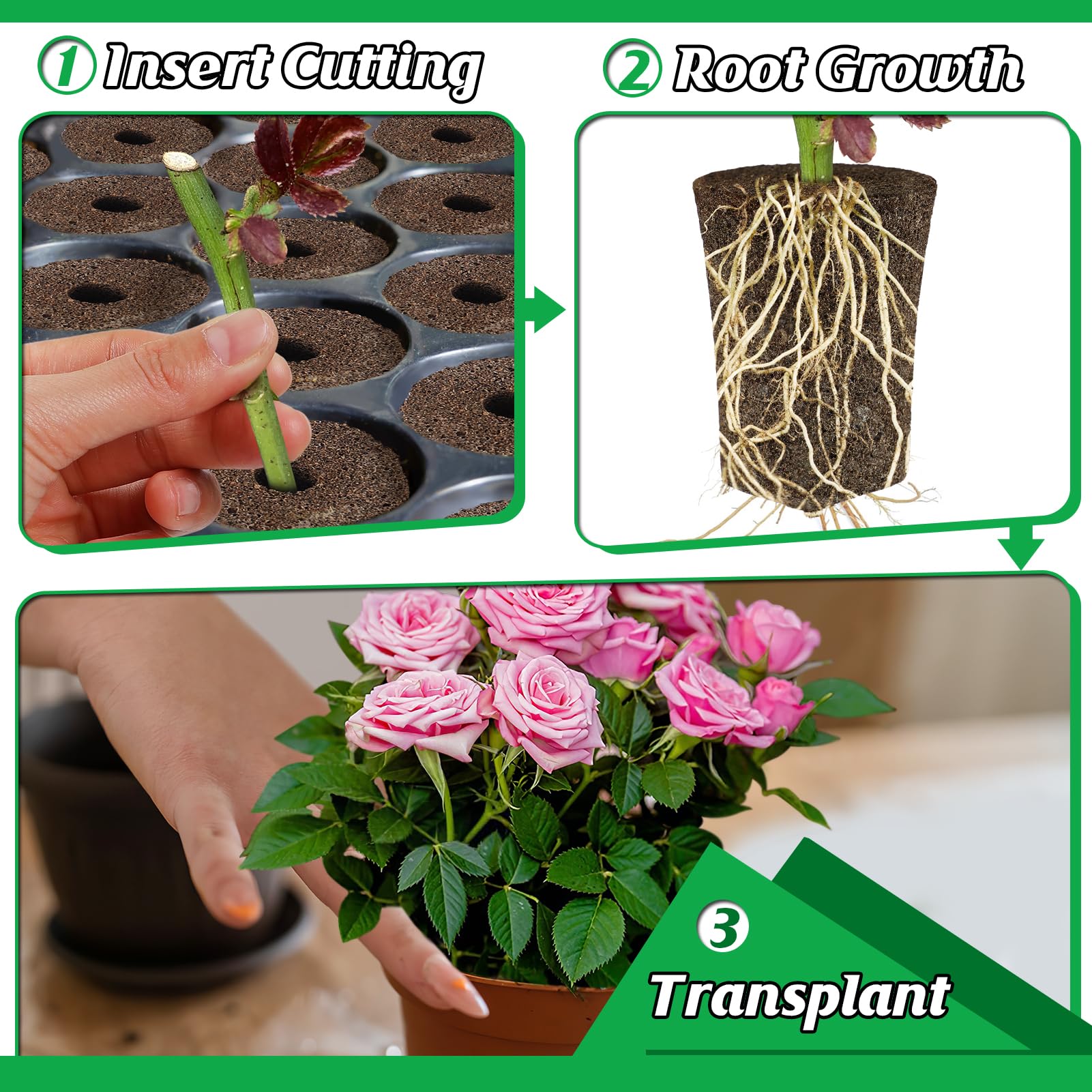 50 Pcs Rooting Sponges for Plants - Seed Starter Plugs for Seedlings & Cuttings, Rapid Rooting in Soil/Tray/Pods, Promotes Herb Vegetable Flower Growth - Ideal for Hydroponics, Indoor Gardening & Greenhouse Planting