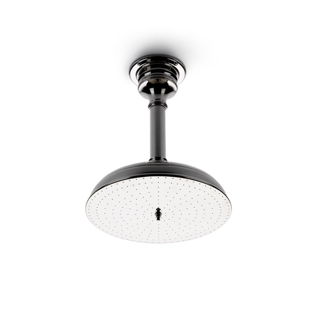 Waterworks Etoile 8-Inch Ceiling Mounted Shower Head with Adjustable Arm and Flange in Brushed Nickel Finish - Perfect for Modern Bathroom and Spa-Like Shower Experience