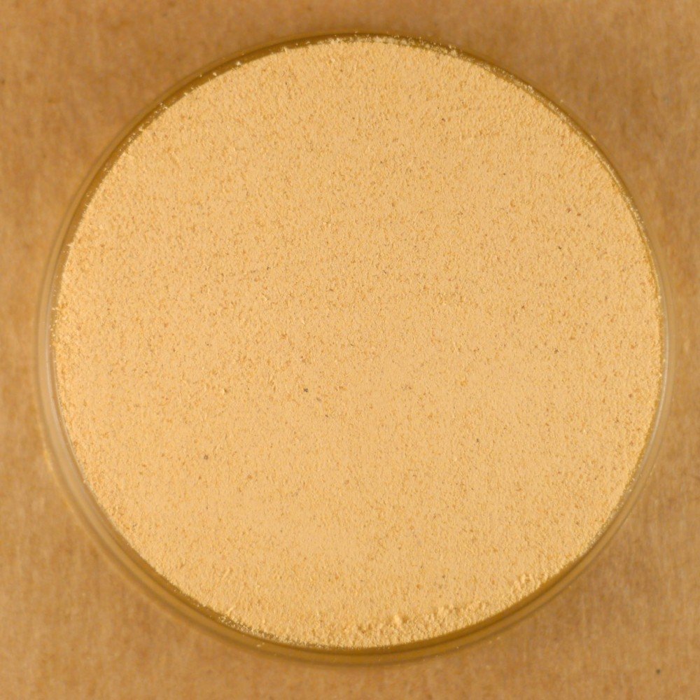 Organic Ground Ginger Powder - 10 lbs Bulk (1.13 kg) | Premium Culinary Spice for Baking, Cooking & Tea | USDA Certified | Gluten-Free & Non-GMO | Great for Asian Cuisine, Smoothies & Health Drinks