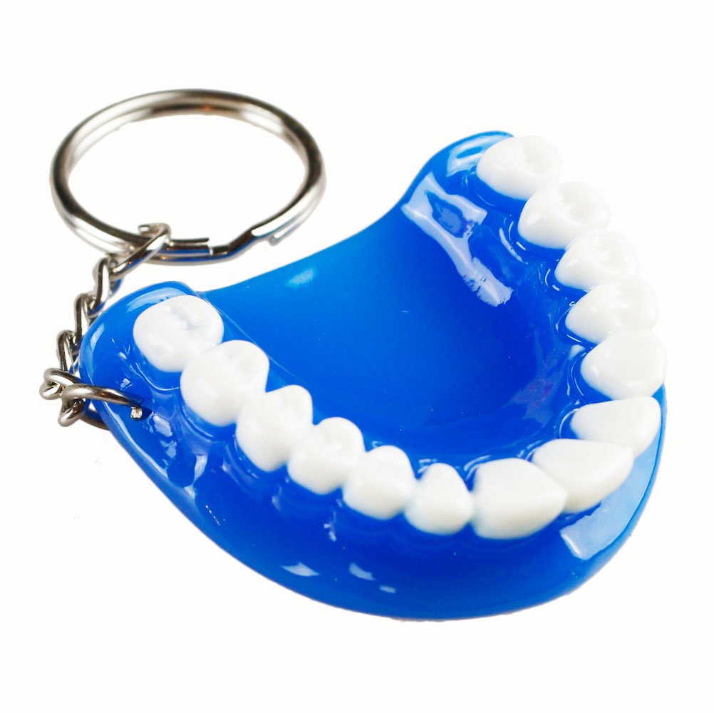 Airgoesin 5-Piece Teeth Keychain Rings - Funny Dentist Gift for Dental Clinic, Blue Jaw Mixed Design - Perfect for Phone Accessories, Keychains & Gag Gifts