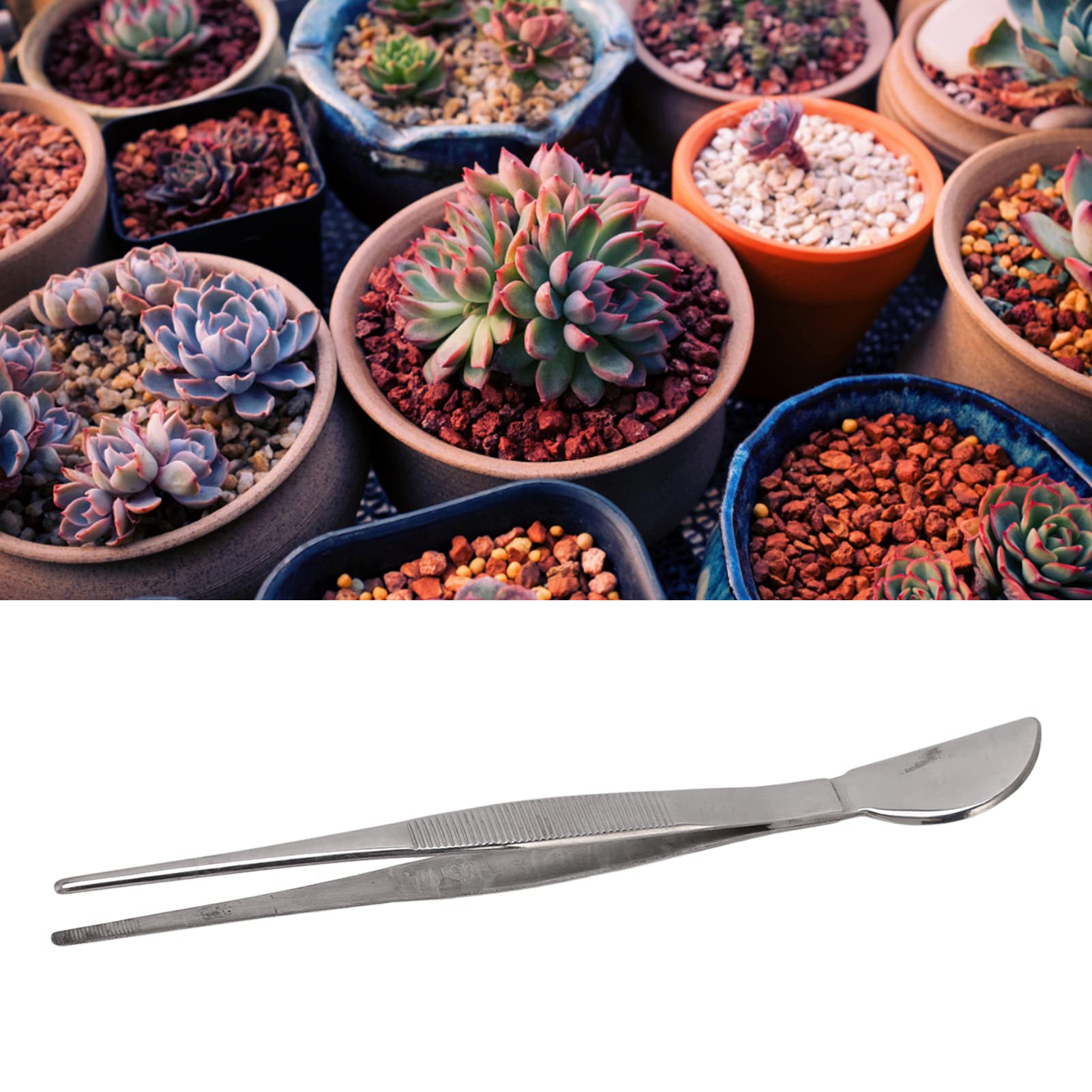Fdit Stainless Steel Bonsai Tweezers - Long Handled Gardening Tool for Plants, Succulents & Precision Work | Straight Tip Design for Pruning, Repotting & Detailed Plant Care