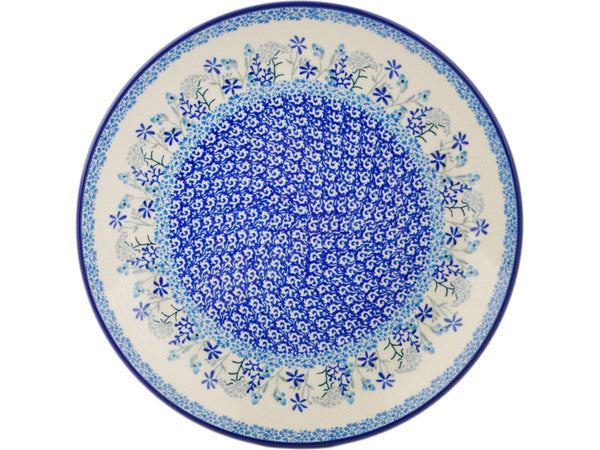10-Piece Dinner Plate Set - Premium Porcelain Plates for Everyday Dining, Dishwasher & Microwave Safe - Perfect for Restaurants, Home, and Parties (2922X)