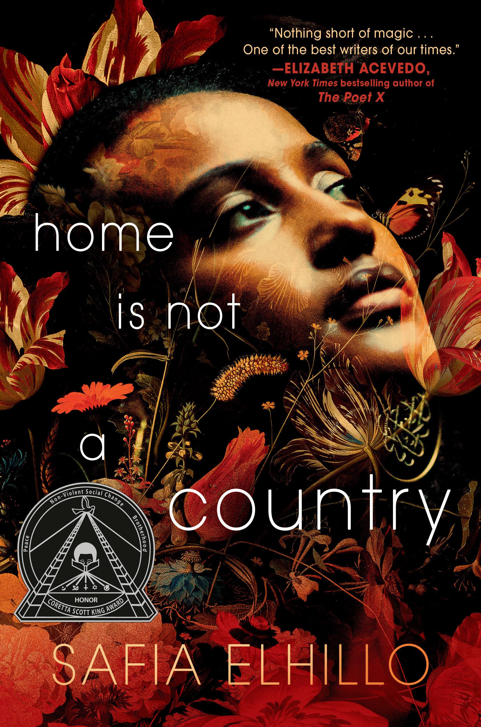 Home Is Not a Country - Thought-Provoking Novel About Identity & Belonging | Perfect for Book Clubs & Immigrant Story Lovers