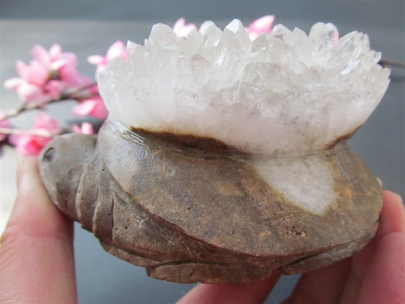 Natural White Tortoise Ore Crystal Stones for Meditation - Healing Specimens, Home Decor, Feng Shui Crafts, Carving Art | Perfect for Yoga, Spiritual Healing & Zen Home Decor