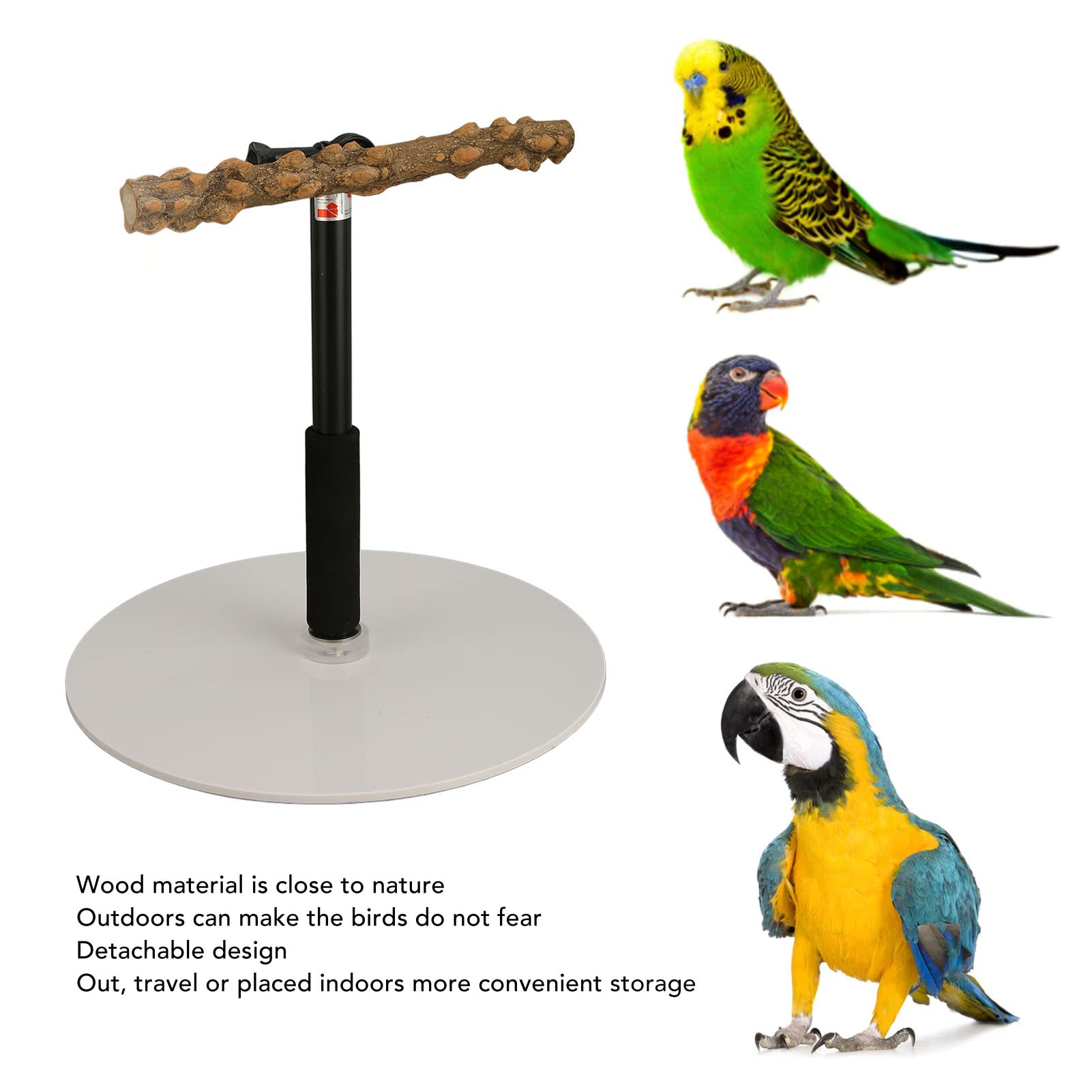 ASHATA Portable & Detachable Bird Play Stand - Indoor & Outdoor Perch for Parrots, Cockatiels & Small Birds - Perfect for Travel, Climbing & Playtime Activities