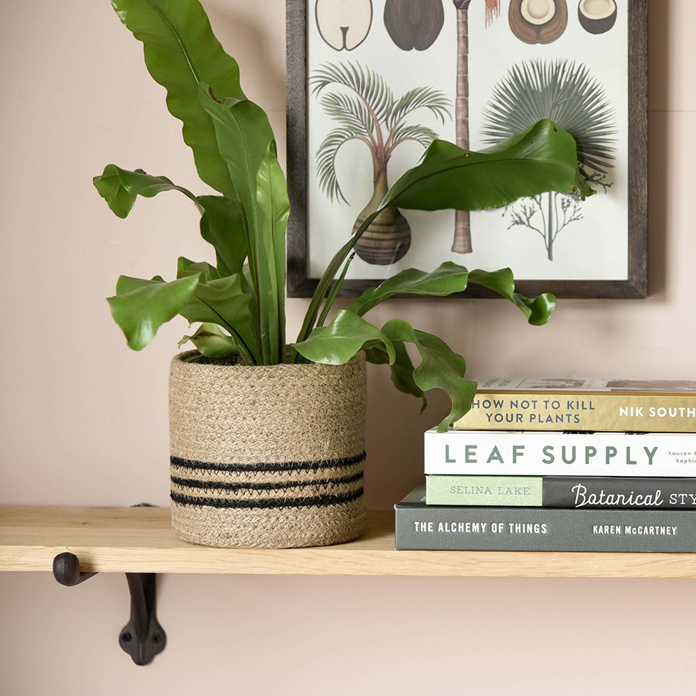 Eco-Friendly Striped Jute Plant Pot - Handmade Natural Fiber Planter for Indoor & Outdoor Plants - Perfect for Home Decor, Garden, and Office Spaces