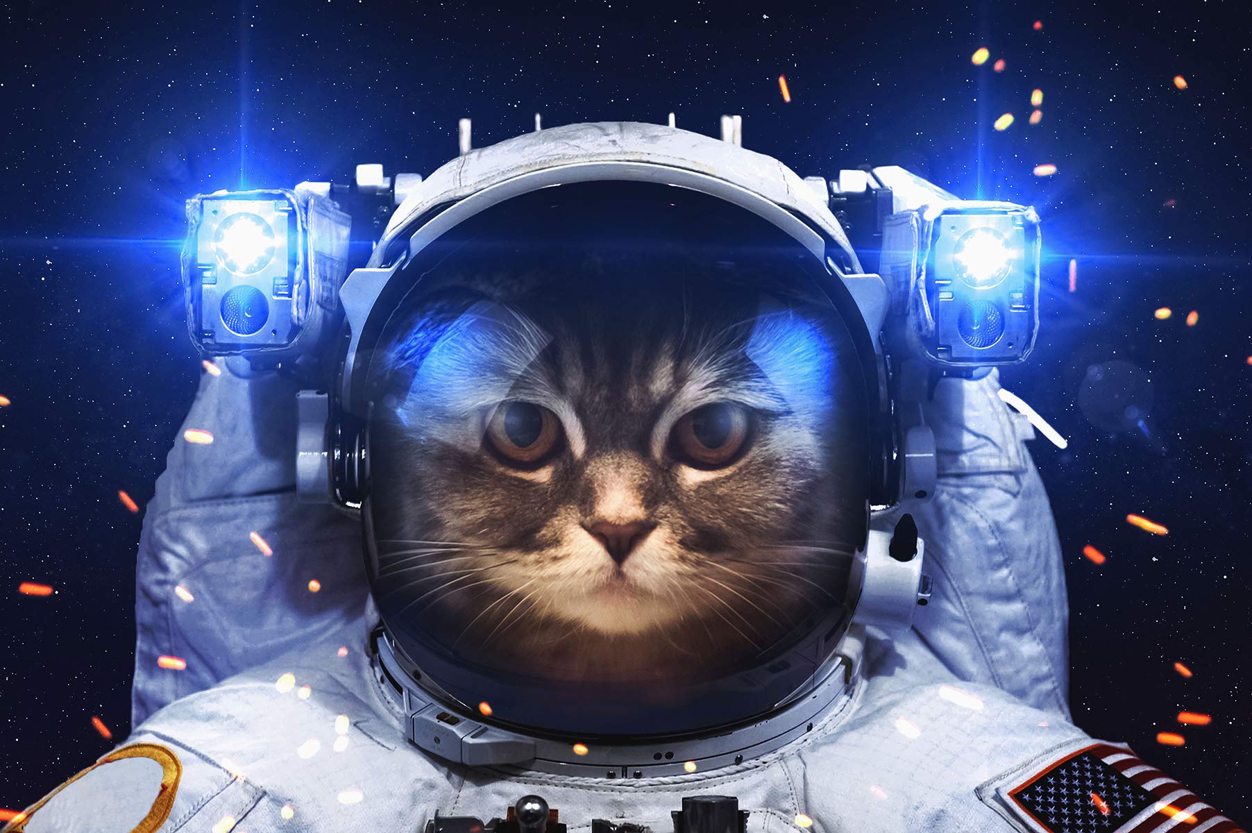 1000 Piece Wooden Jigsaw Puzzle for Adults - Space Cat Artwork, Large Puzzle (29.52