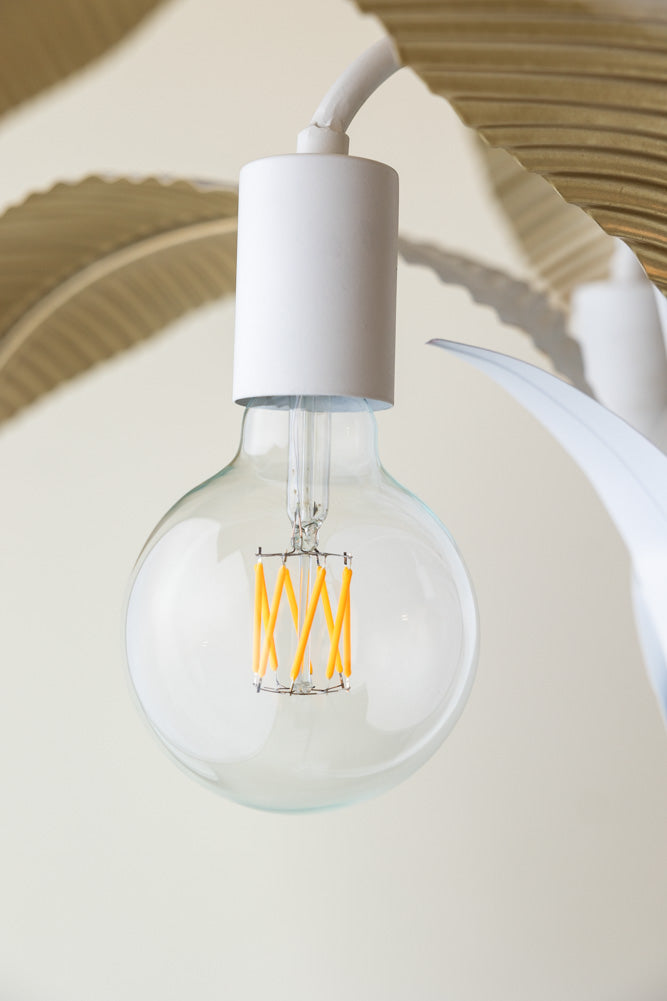 6W E27 LED Light Bulb, Clear Globe Shape, Energy Efficient, Warm White 3000K - Perfect for Lamps, Ceiling Fixtures, and Home Lighting