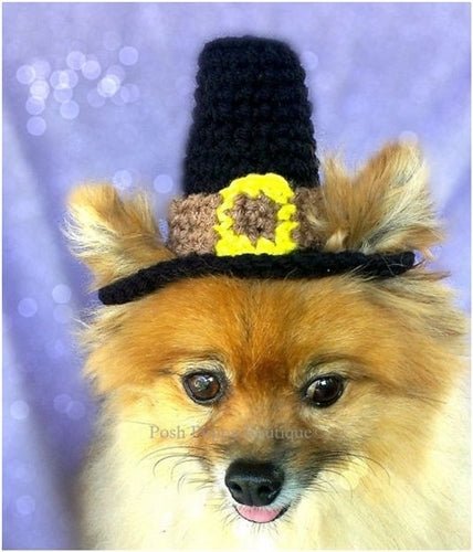 Crochet Pilgrim Beanie Hat for Women & Men - Soft Handmade Winter Knit Cap - Perfect for Christmas, Thanksgiving & Fall Fashion