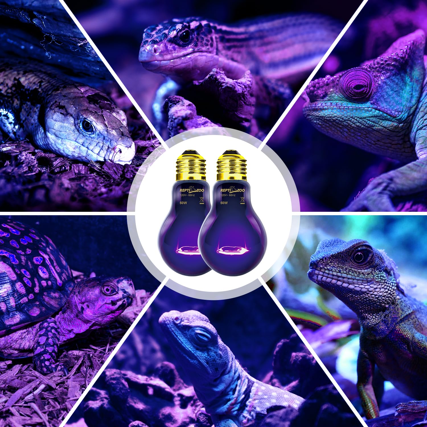 REPTIZOO 2-Pack 50W Reptile Night Heat Lamp - Infrared Heating Bulb with Moonlight Glow for Bearded Dragons, Lizards, Snakes & Turtles | Ideal for Nocturnal Reptile Terrariums & Nighttime Habitat Heating