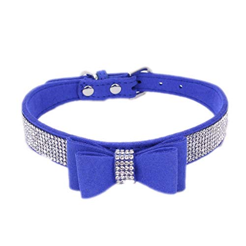 Blue2