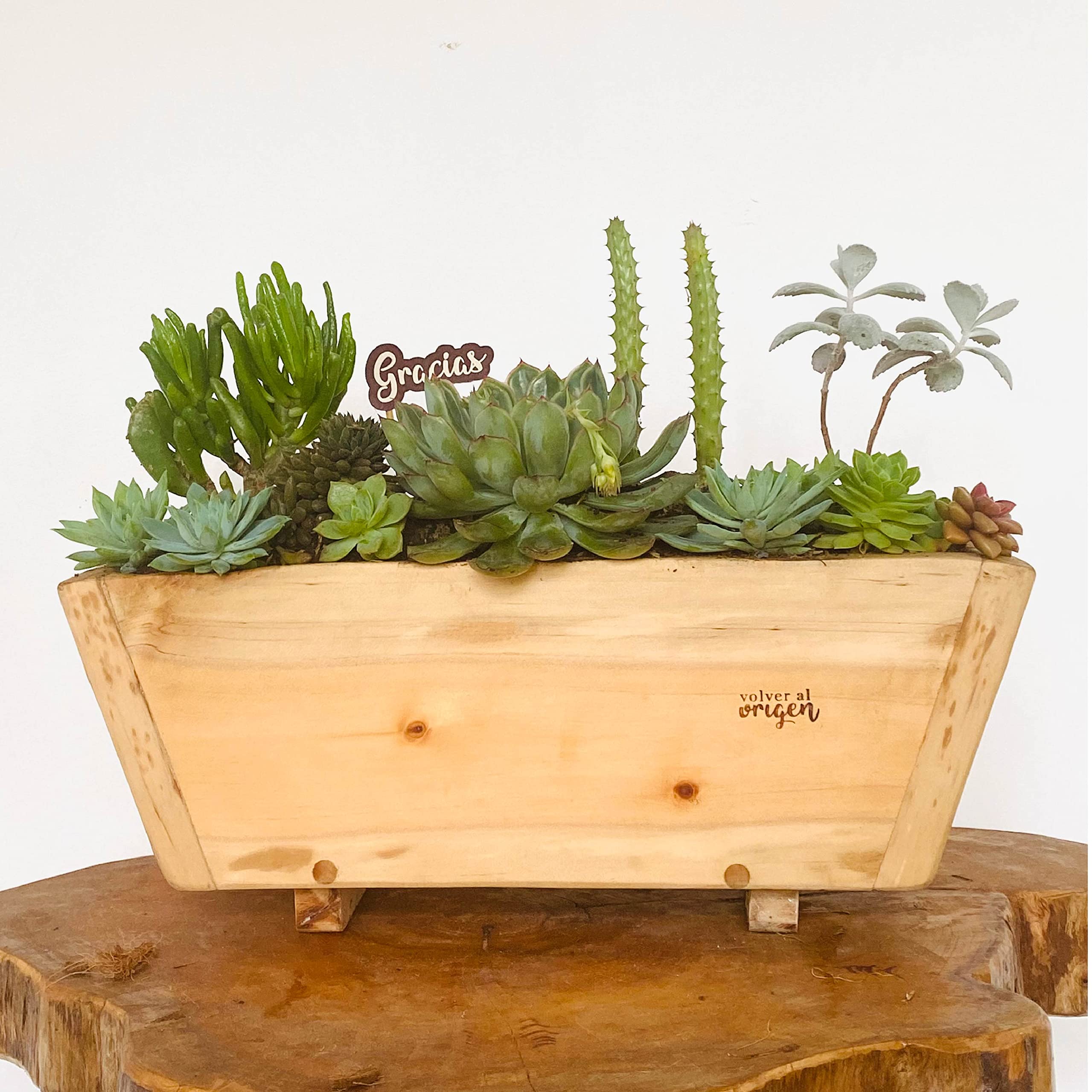 Premium Pine Wood Planter Box 14x6x5 Inches - Indoor Outdoor Garden Decor for Plants, Flowers & Herbs | Perfect for Patio, Balcony & Home Decor