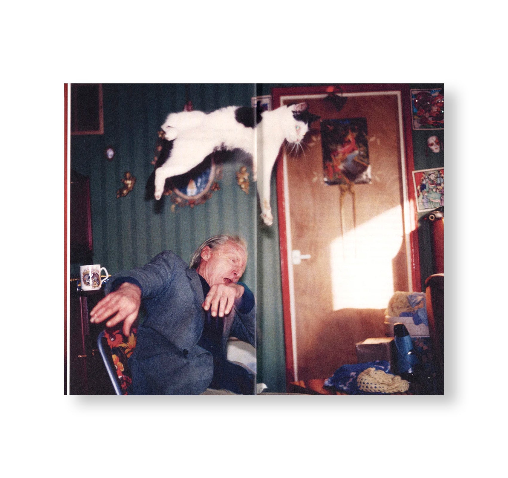 RAY'S A LAUGH: A READER by Richard Billingham & Liz Jobey - Photography Book Collection - Perfect for Art Lovers, Photography Enthusiasts, and Coffee Table Decor