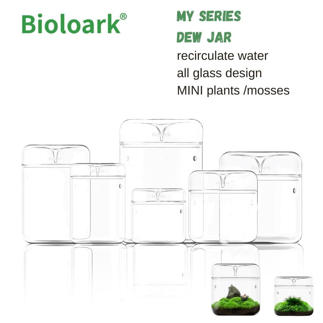 BIOLOARK Dew Glass Cup (Micro Terrarium) MY Series - Elegant Mini Glass Planter for Succulents & Air Plants | Perfect for Home Decor, Office Desk & Gift Ideas