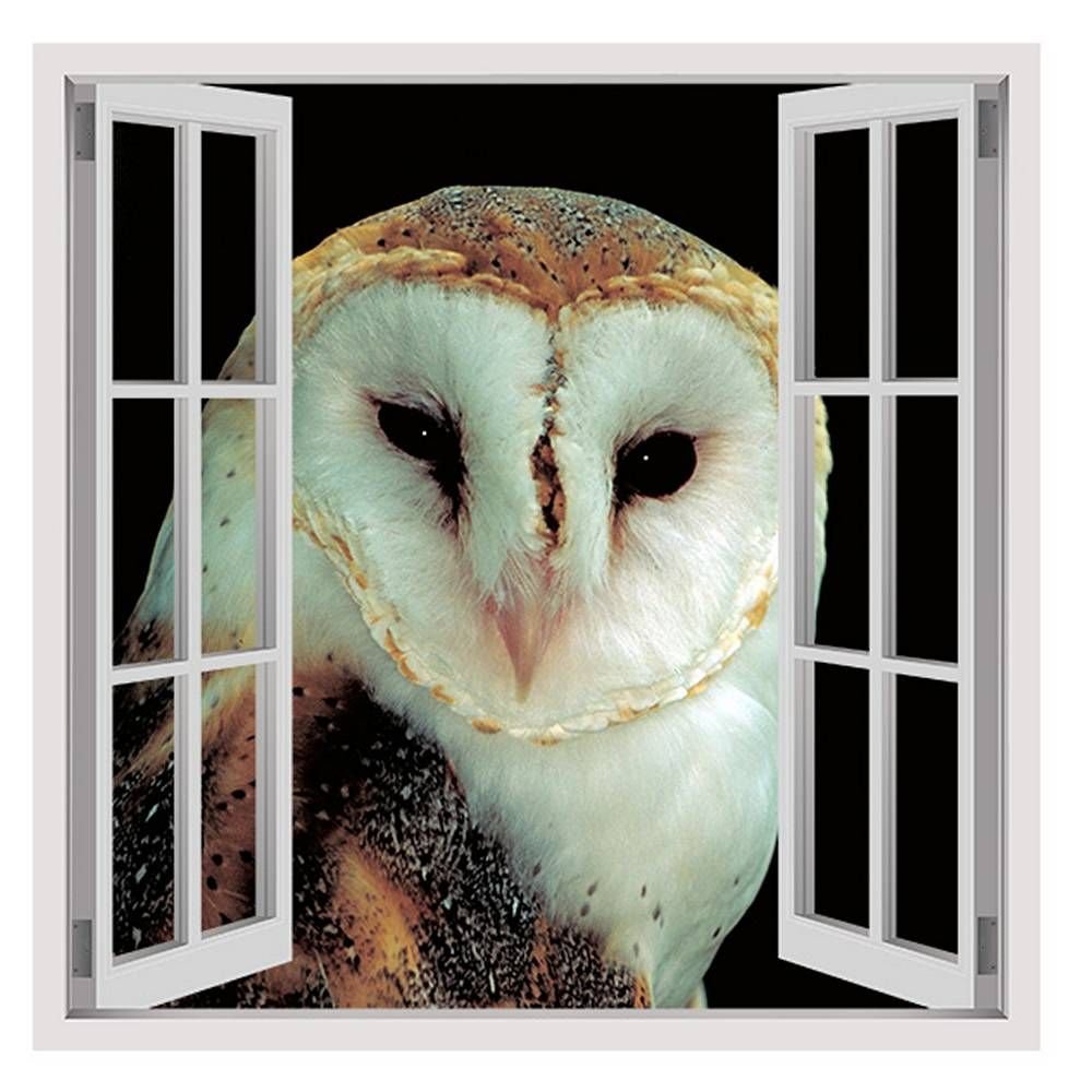 Alonline Art - Night Owl 3D Window Wall Sticker | 35