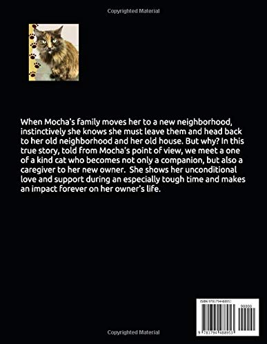 MOCHA: Loyal & Loving Cat Plush Toy - Perfect Gift for Cat Lovers, Kids & Home Decor - Cute Stuffed Animal for Cuddling, Gifting & Nursery Decor