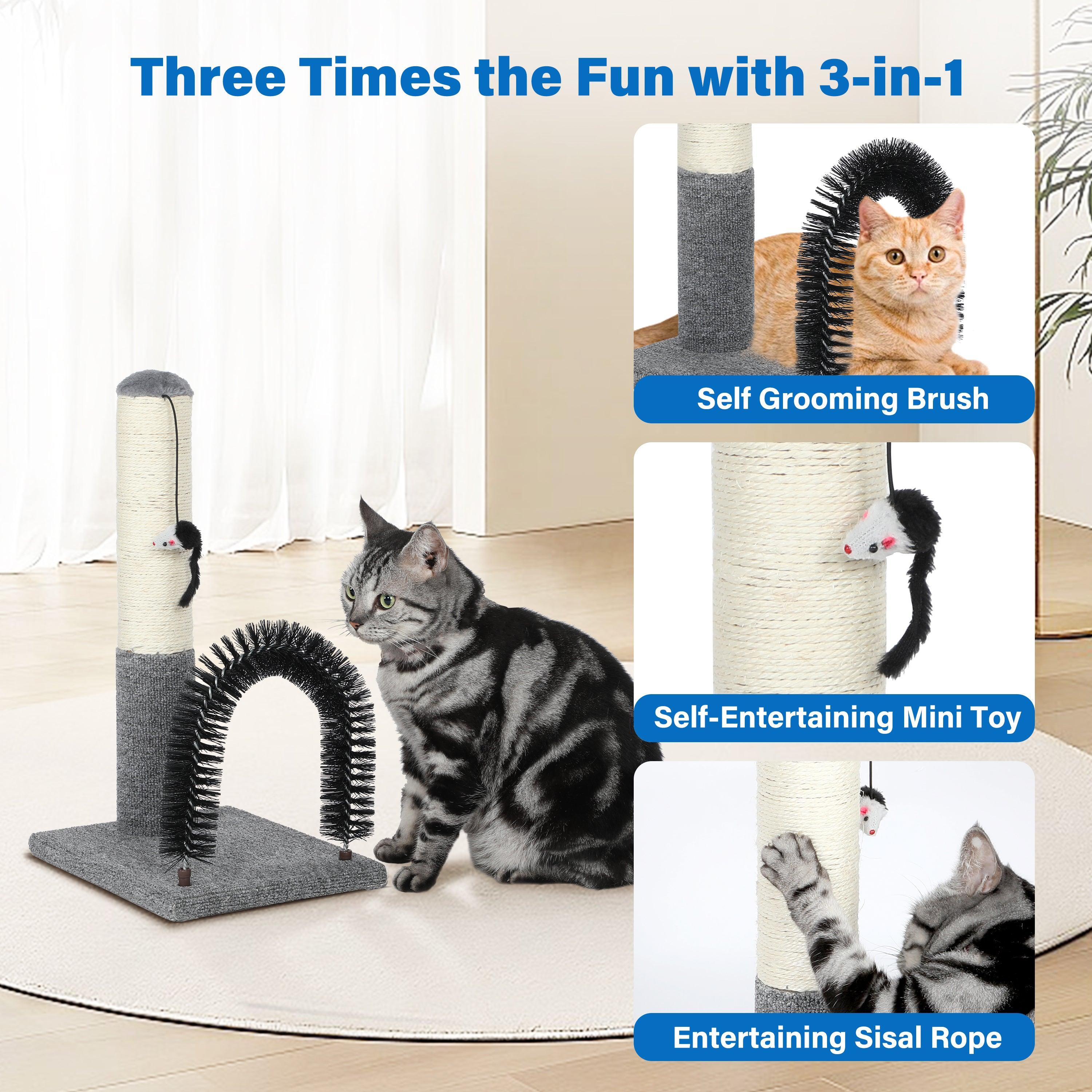 18 Inch Cat Scratching Post with Grooming Brush & Dangling Ball - Self Groomer Scratcher for Kittens & Adult Cats - Indoor Cat Furniture Protector - Perfect for Playtime, Grooming & Furniture Protection