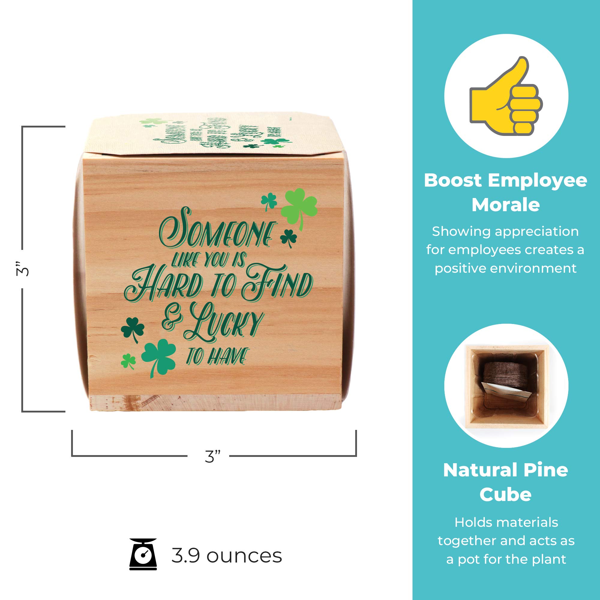 Cheersville 10-Pack Clover Plant Cube Appreciation Gift Set with Seed Packet, Peat Pellet & 3-inch Wooden Planter - Unique Employee Thank You Gifts, Office Decor & Desk Plants for Workplace Motivation