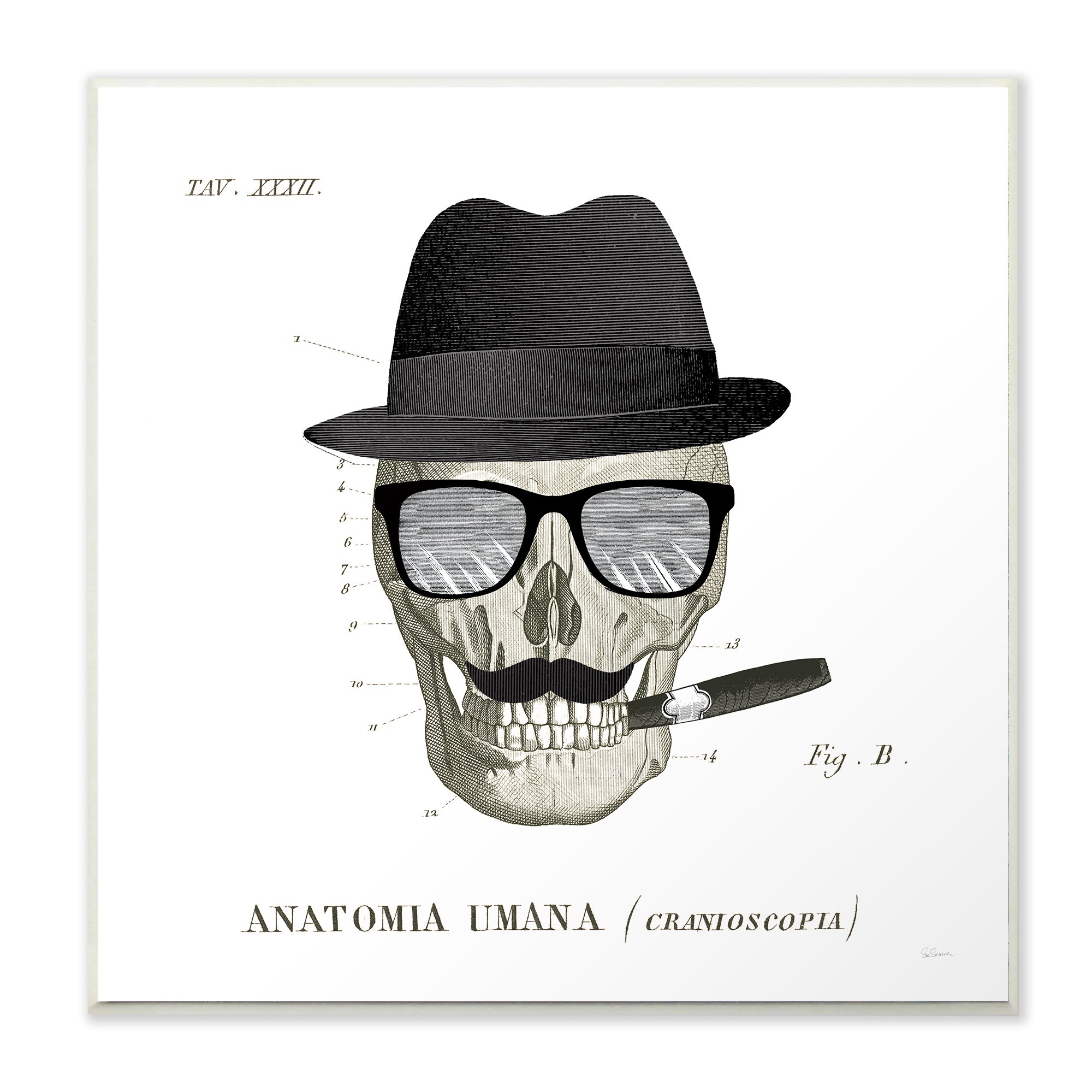 Stylish Dandy Bones Wall Art for Home & Office Decor