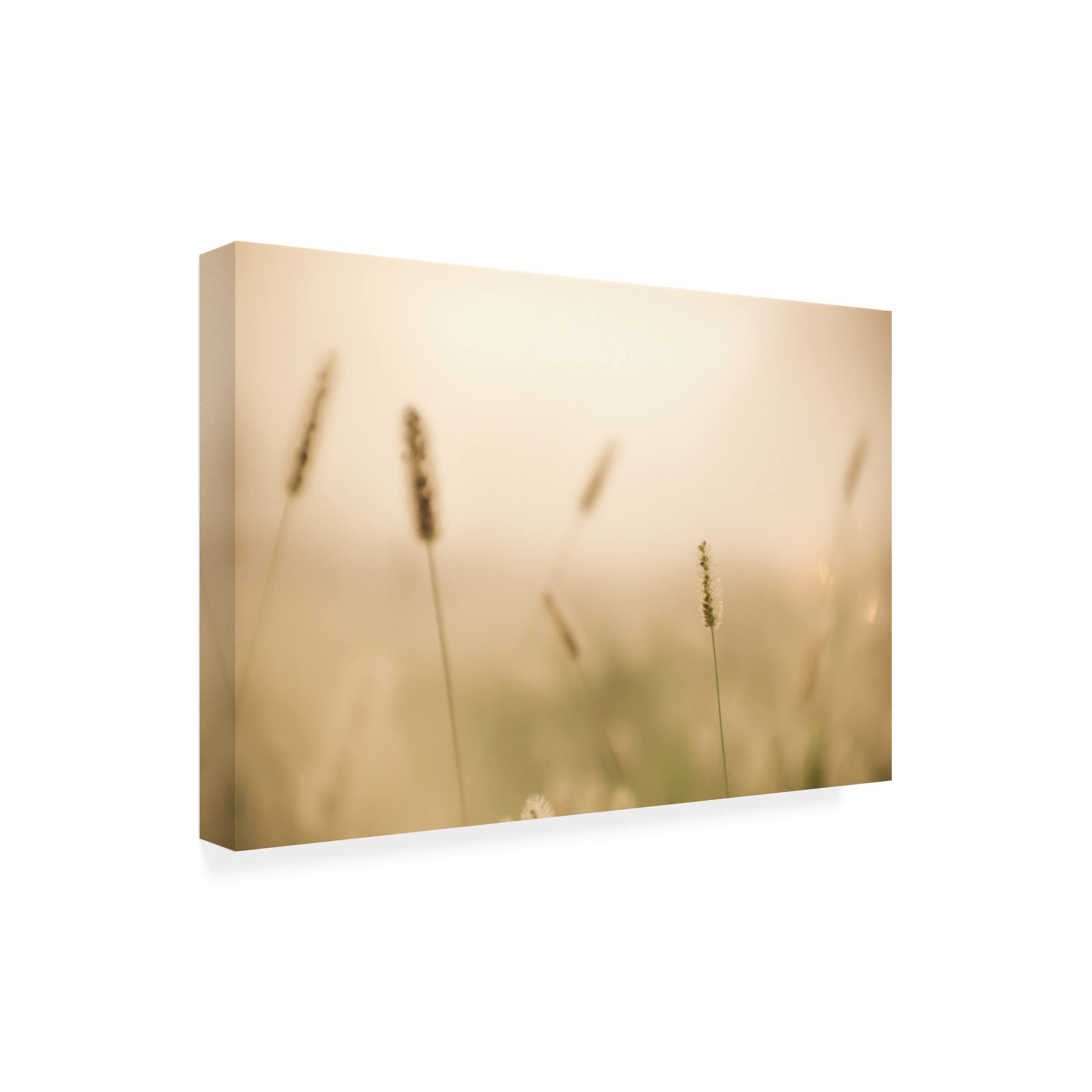 Blue Palomino 'Gone To Seed By The Beach' Canvas Wall Art Print - Coastal Home Decor for Living Room, Bedroom & Office - Modern Seascape Painting for Beach House & Nautical Themed Spaces