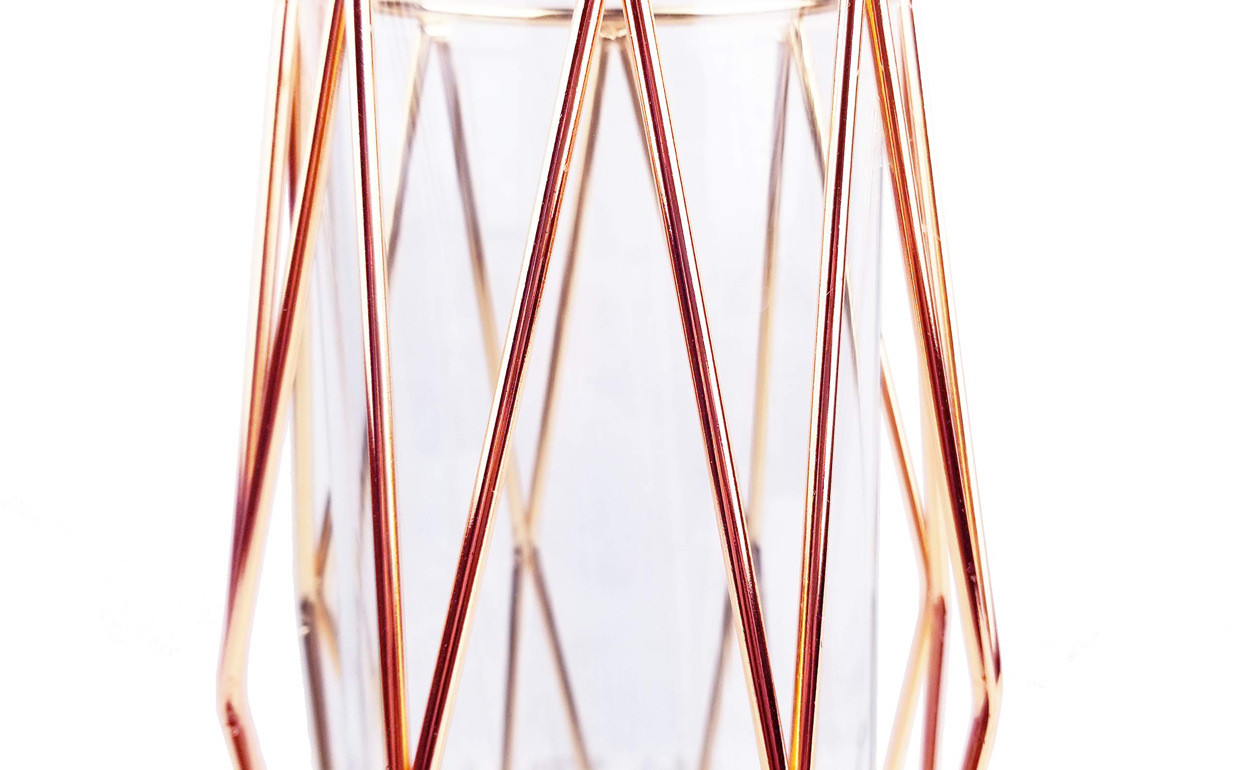 Premium Rose Gold Flower Glass Vase with Metal Stand - 11 Inch Modern Home Decor for Living Room, Wedding Centerpiece, Dining Table & Office Desk Decoration