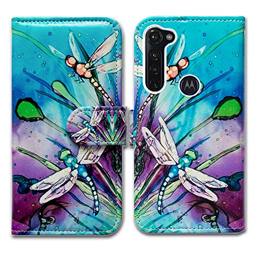 Cute Dragonfly
