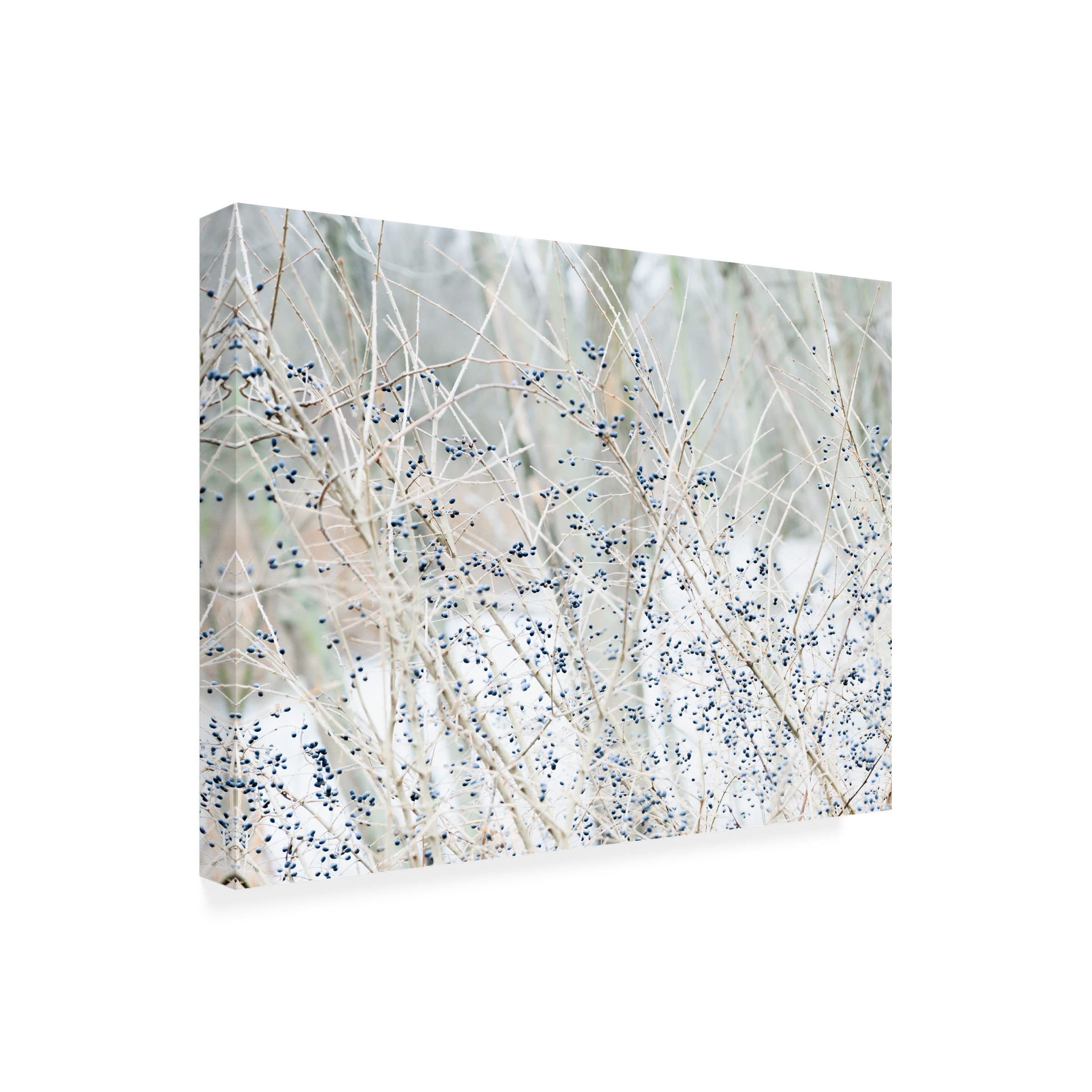 Trademark Fine Art 'Winter Berries All Blue' Canvas Wall Art by Blue Palomino - Perfect for Living Room, Bedroom & Office Decor