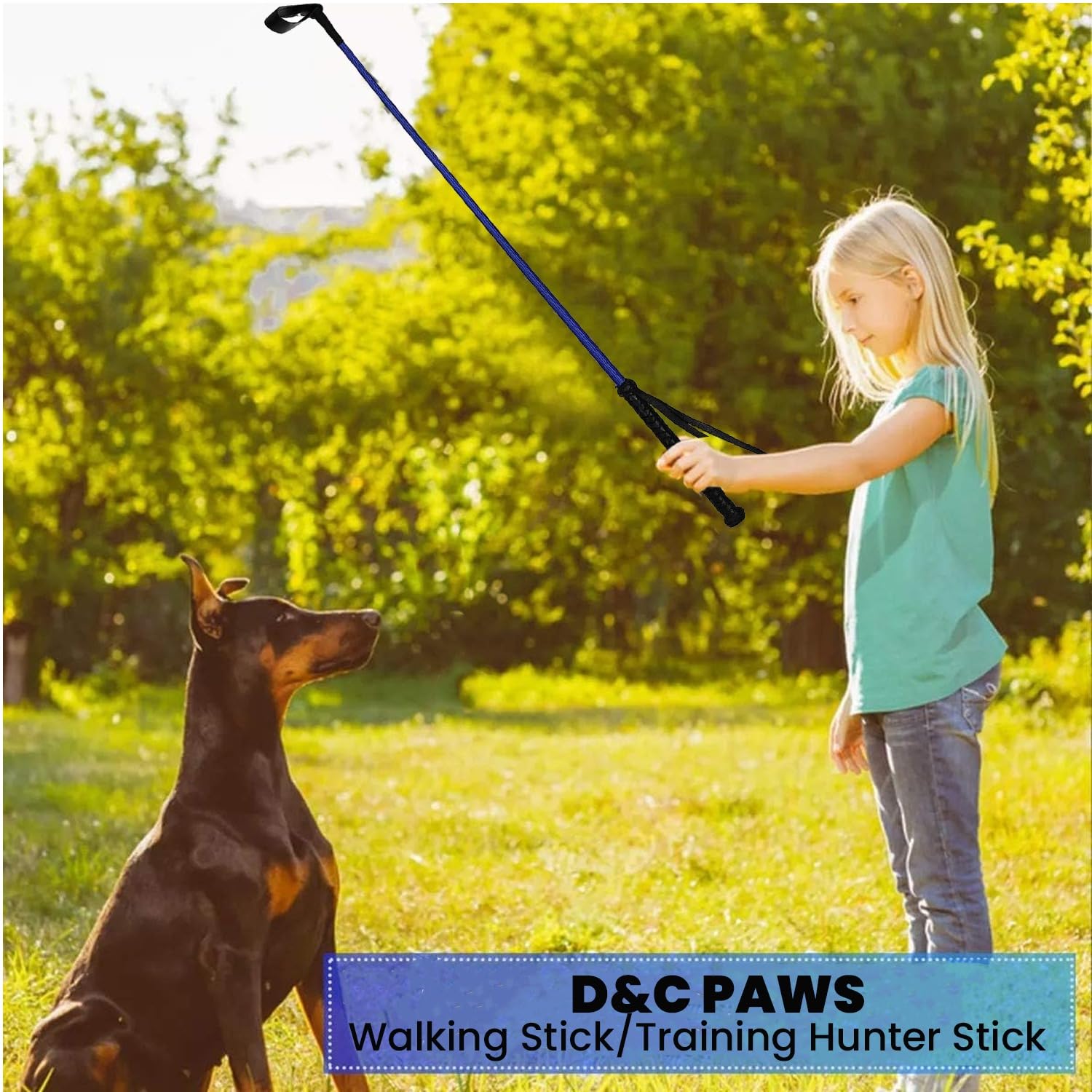 D&C PAWS Dog Training Stick - Adjustable Walking Stick for Hunting & Obedience Training, Multi-Color (Perfect for Outdoor Adventures & Professional Dog Training)