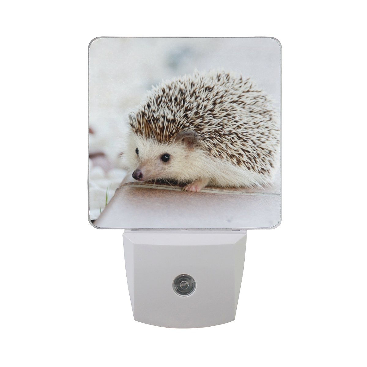LED Night Light Plug-in with Hedgehog Design - Dusk-to-Dawn Auto Sensor, Energy Efficient 0.5W (2-Pack) - Perfect for Bedroom, Bathroom, Kitchen, Hallway & Stairs - Creates Cozy Ambiance for Kids' Rooms & Safe Nighttime Navigation